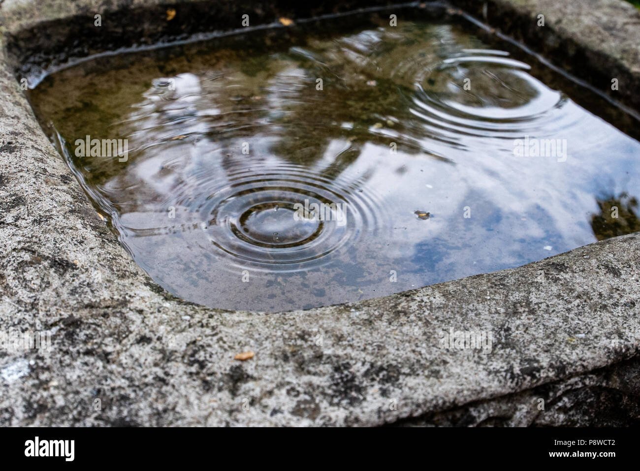 Ripples from raindrops in the water of a garden bird bath. Stock Photo