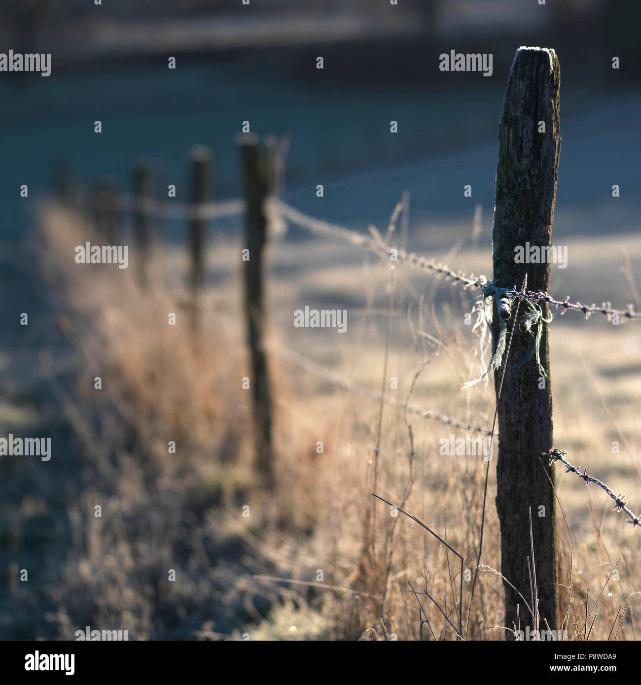 Fence fencing frosted frozen wire winter scene field hires stock