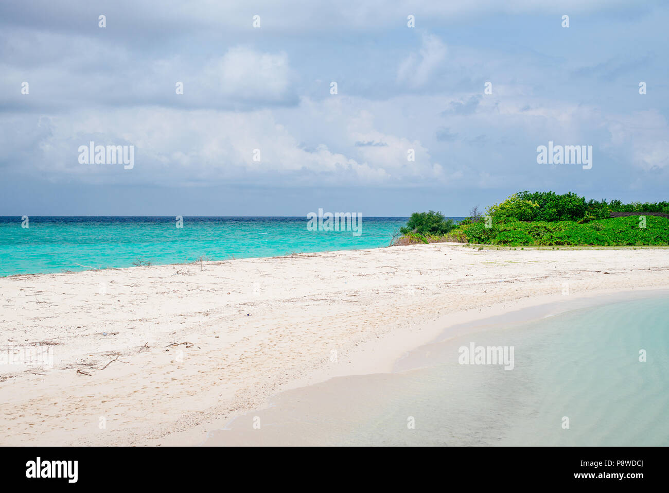 Palm tree on the beach on beautiful Maldives beach. Maldive. Maldive Island with turquoise sea. Stock Photo