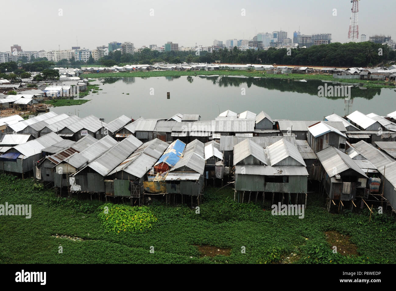 Lezbiyenlar kokraklar bilan oynashadi