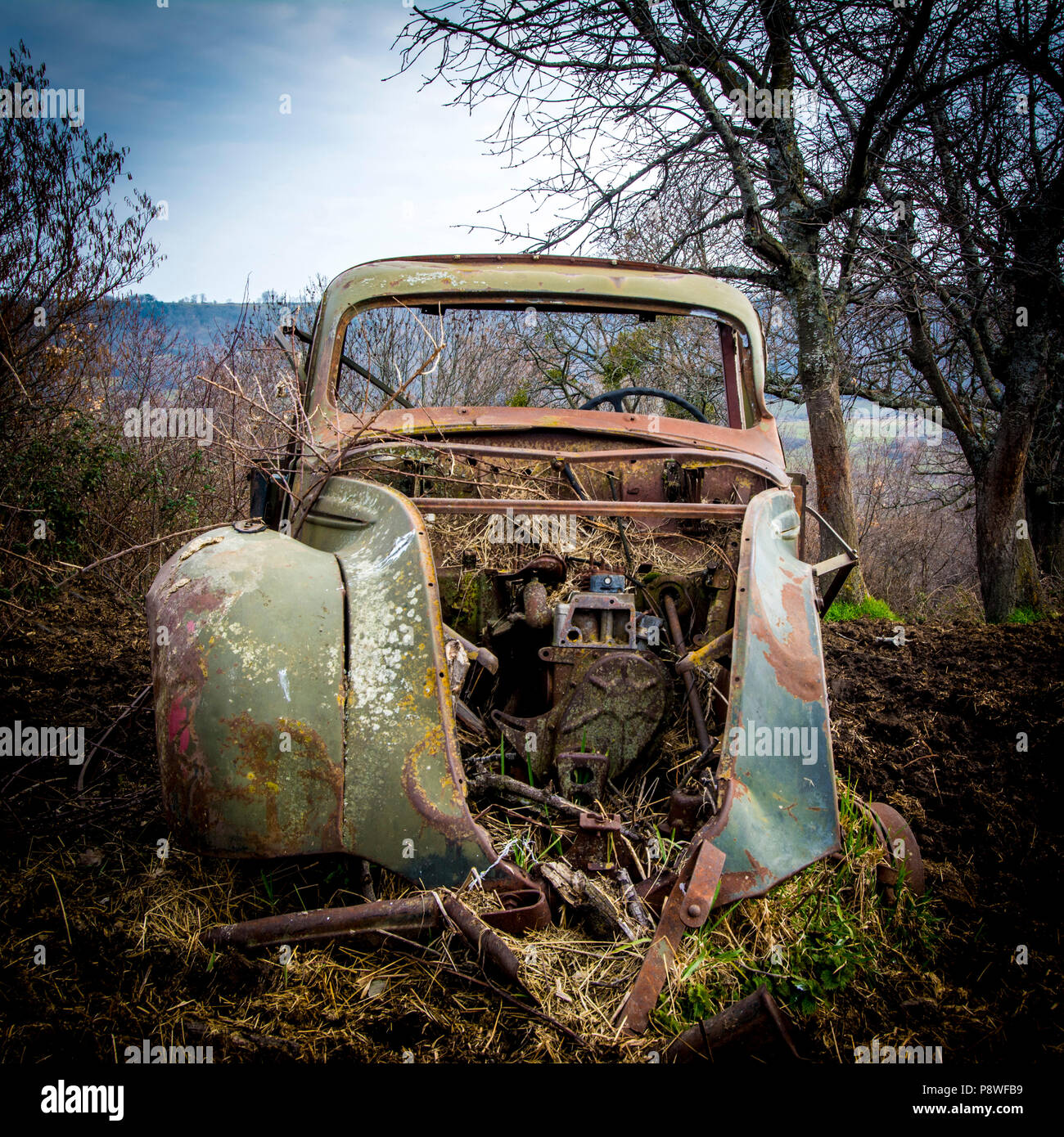 Old truck carcass rusty and boned amidst fields in winter, Auvergne, France, Europe Stock Photo