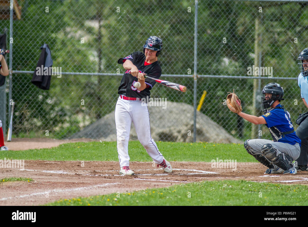 Baseball, just before contact with bat, as player swings, boys afternoon junior baseball game. Cranbrook, BC. Stock Photo