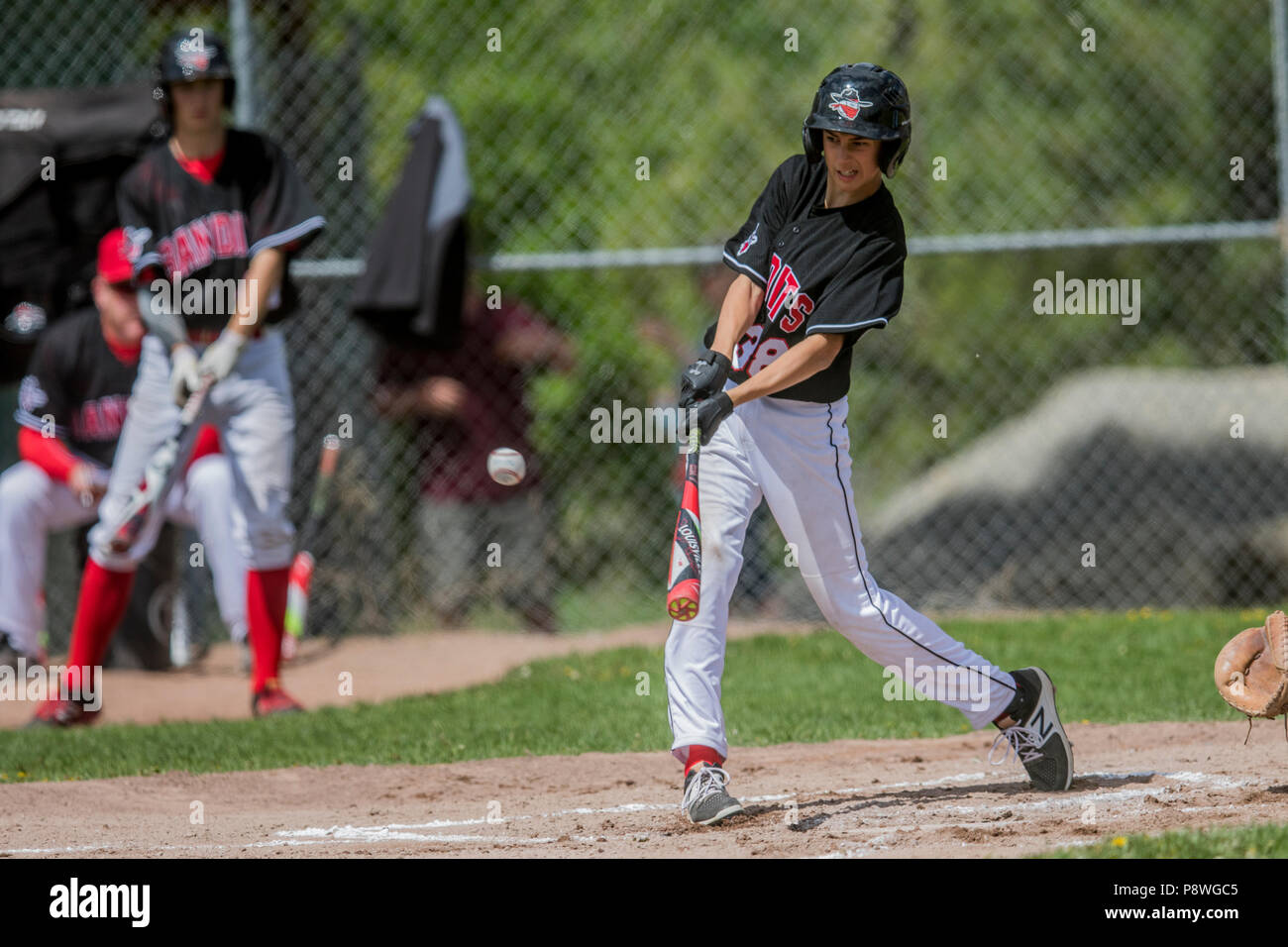 Batter swinging and just about to make contact with baseball, boys afternoon junior baseball game. Cranbrook, BC. Stock Photo