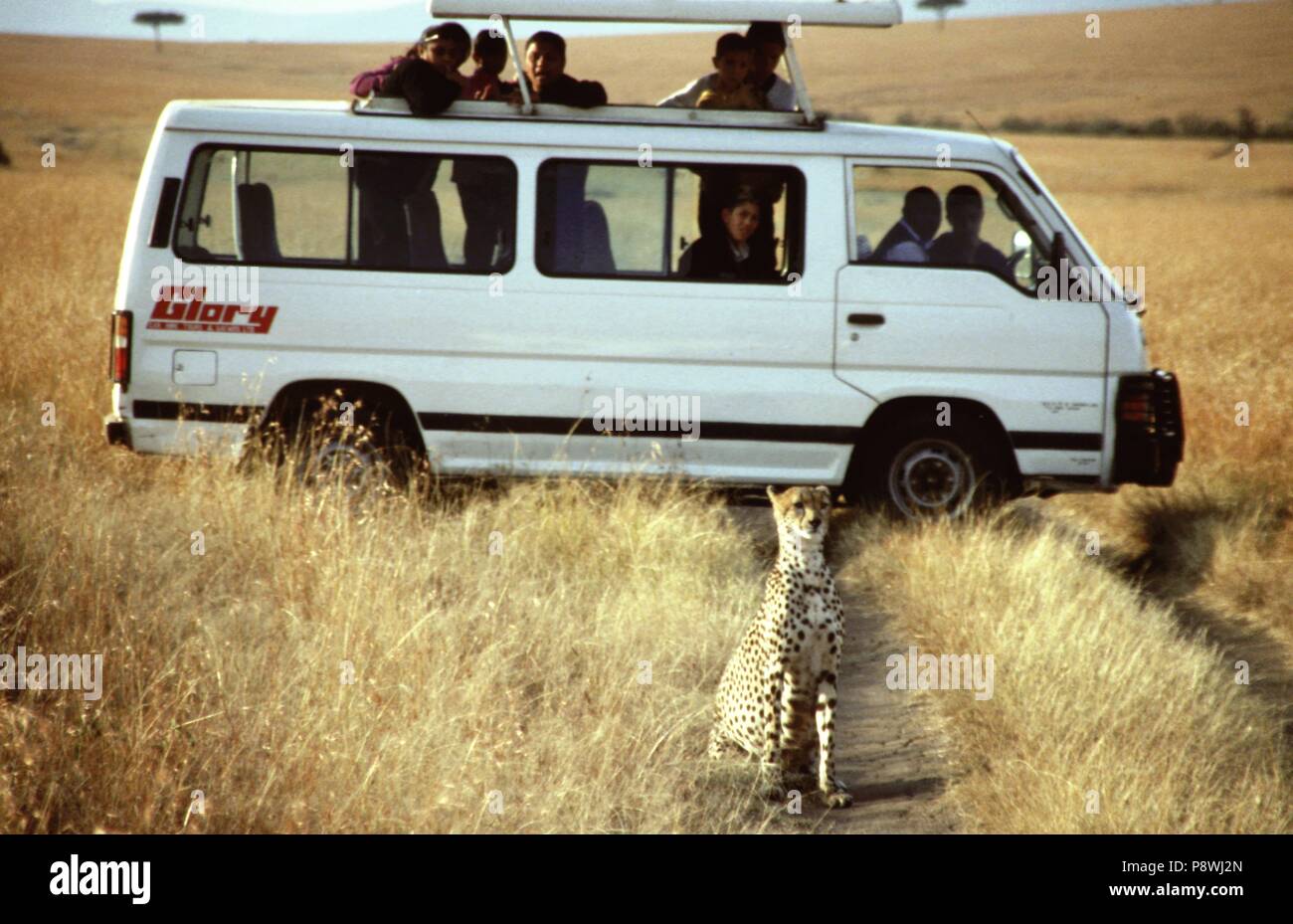 vans safari vans safari