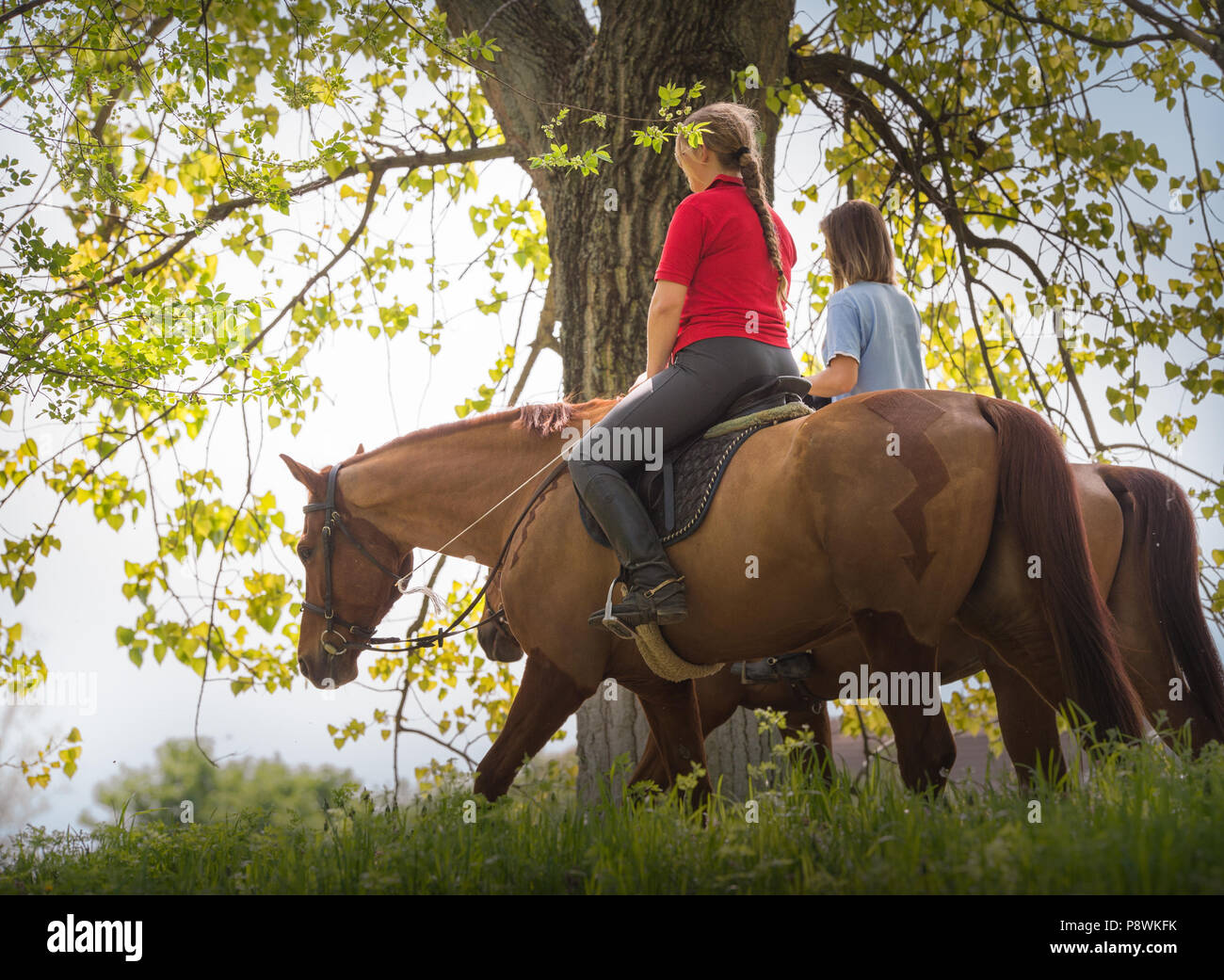 Girls on a horse ride Stock Photo - Alamy