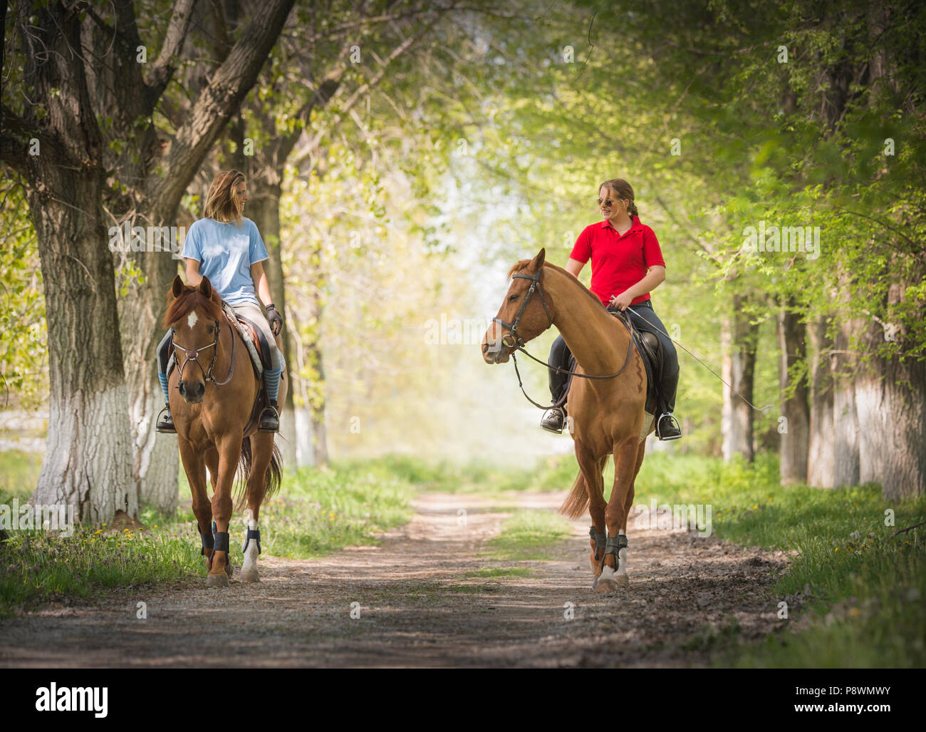 Girls on a horse ride Stock Photo - Alamy