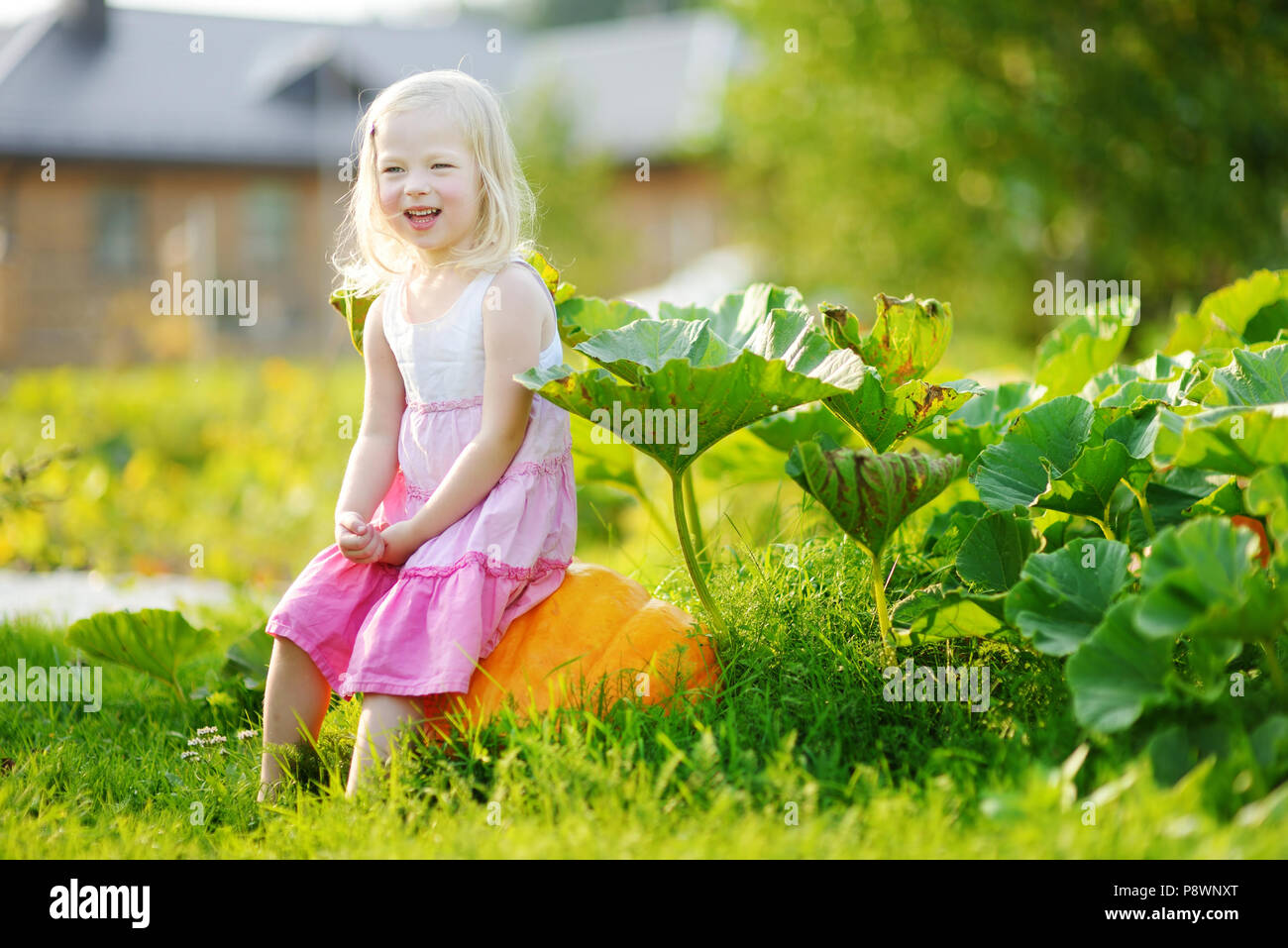 Cute little girl sitting on a pumpkin on a pumpkin patch Stock Photo ...