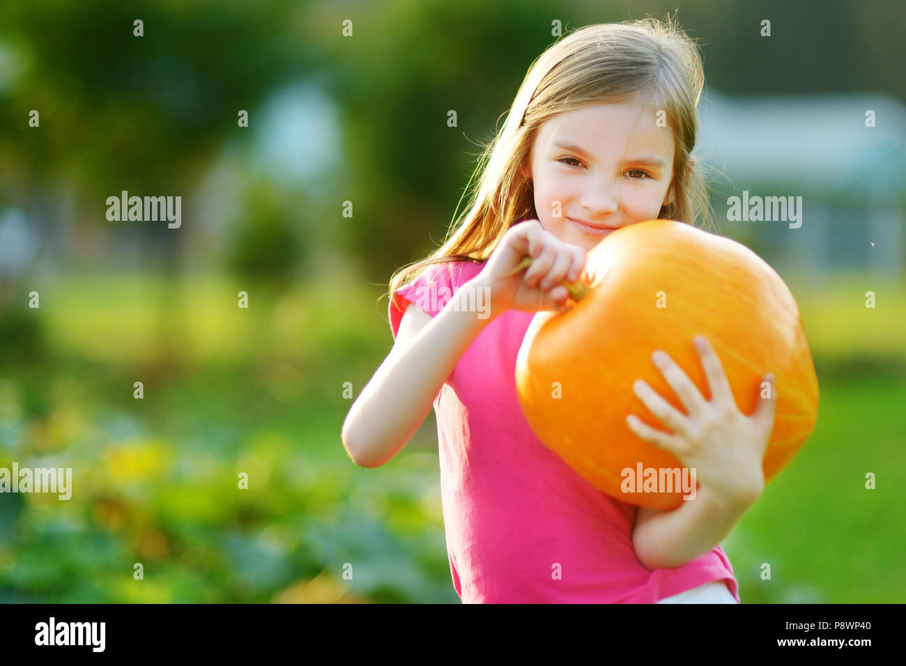 Cute little girl holding a pumpkin in a pumpkin patch Stock Photo - Alamy