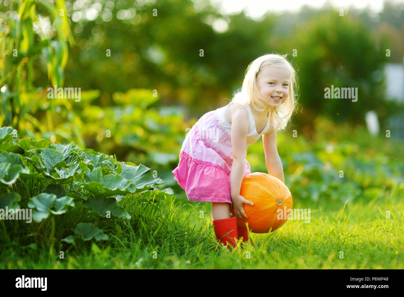 Cute little girl holding a pumpkin in a pumpkin patch Stock Photo - Alamy
