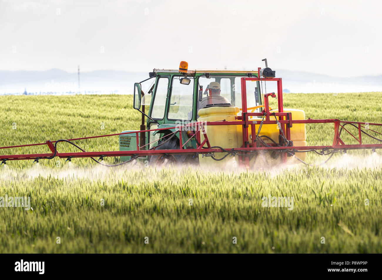 Tractor spraying wheat field with sprayer Stock Photo Alamy