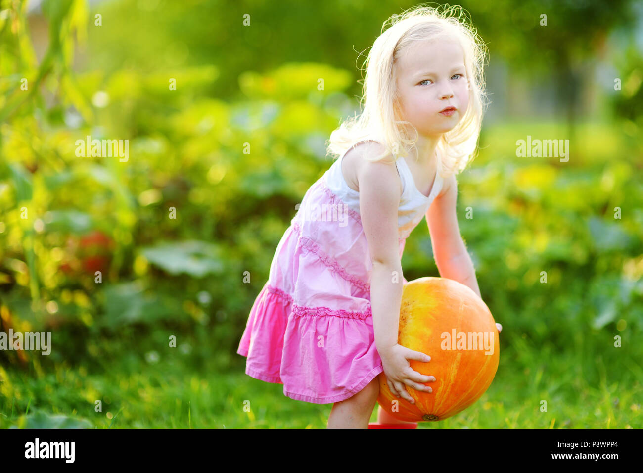 Cute little girl holding a pumpkin in a pumpkin patch Stock Photo - Alamy