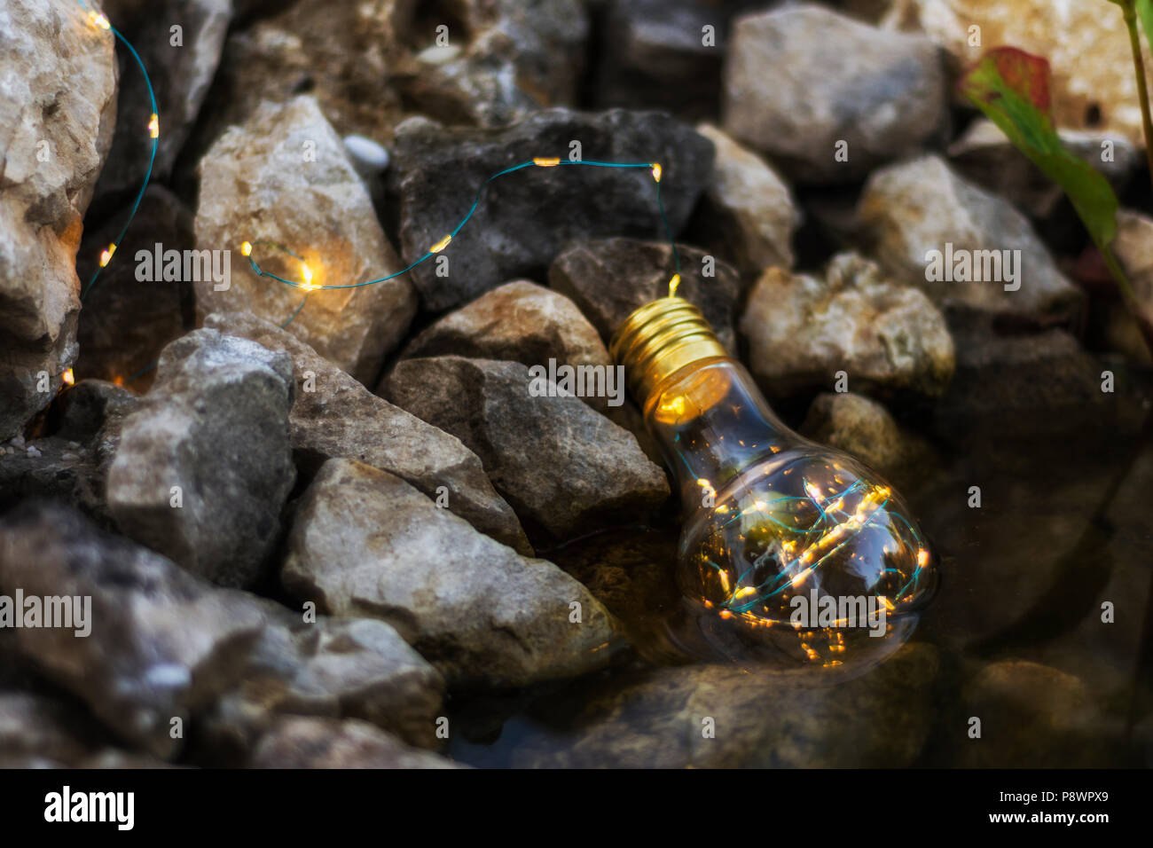 Lightbulb water hi-res stock photography and images - Alamy