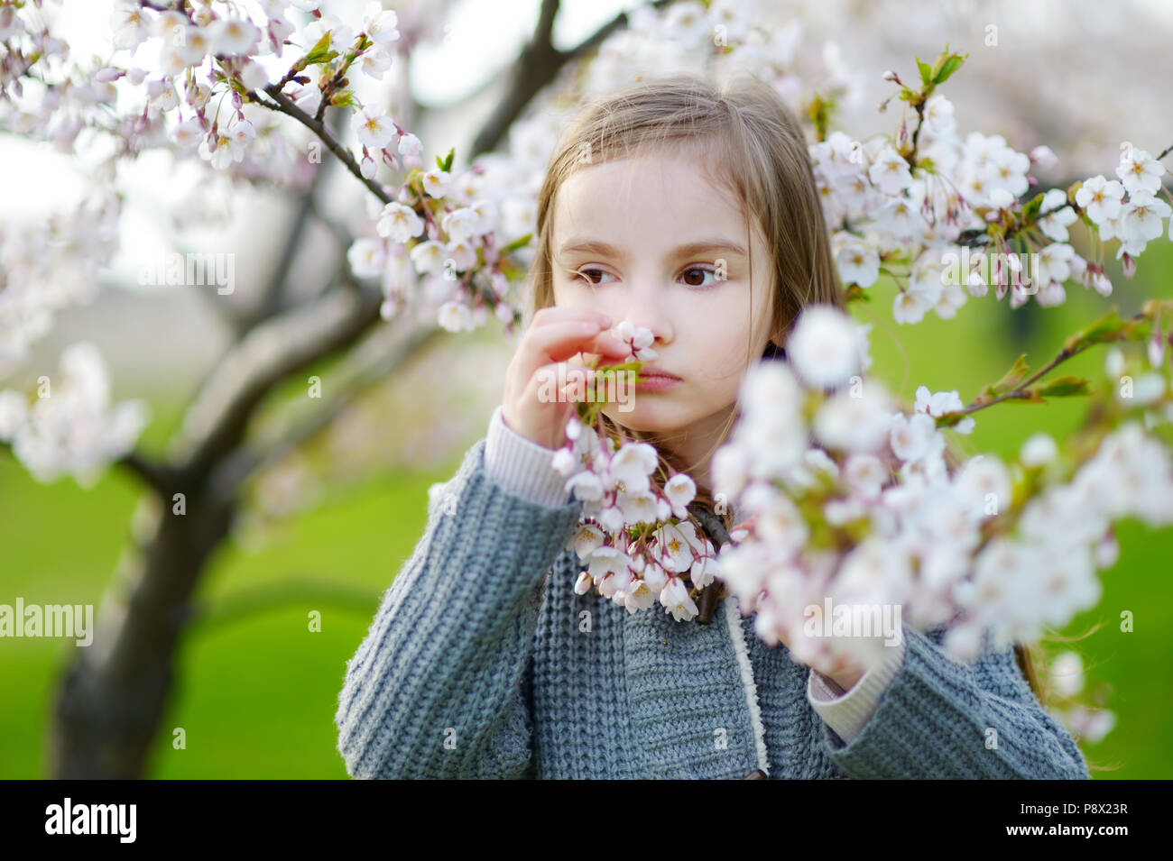 Adorable little girl in blooming cherry garden on beautiful spring day ...