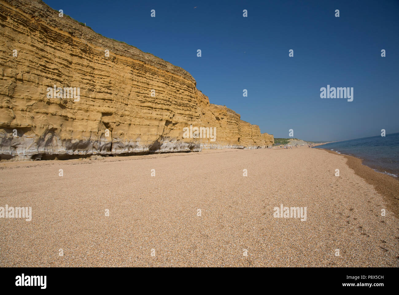 Iconic golden cliffs West Bay and Hive Beach Burton Bradstock Jurassic