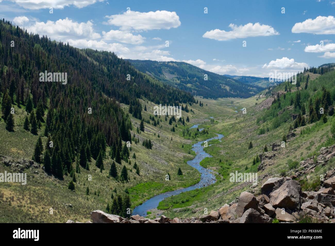 The Rio de Los Pinos flowing through the lush landscape of it's valley in the mountains of Colorado, as seen from the Cumbres and Toltec scenic railro Stock Photo