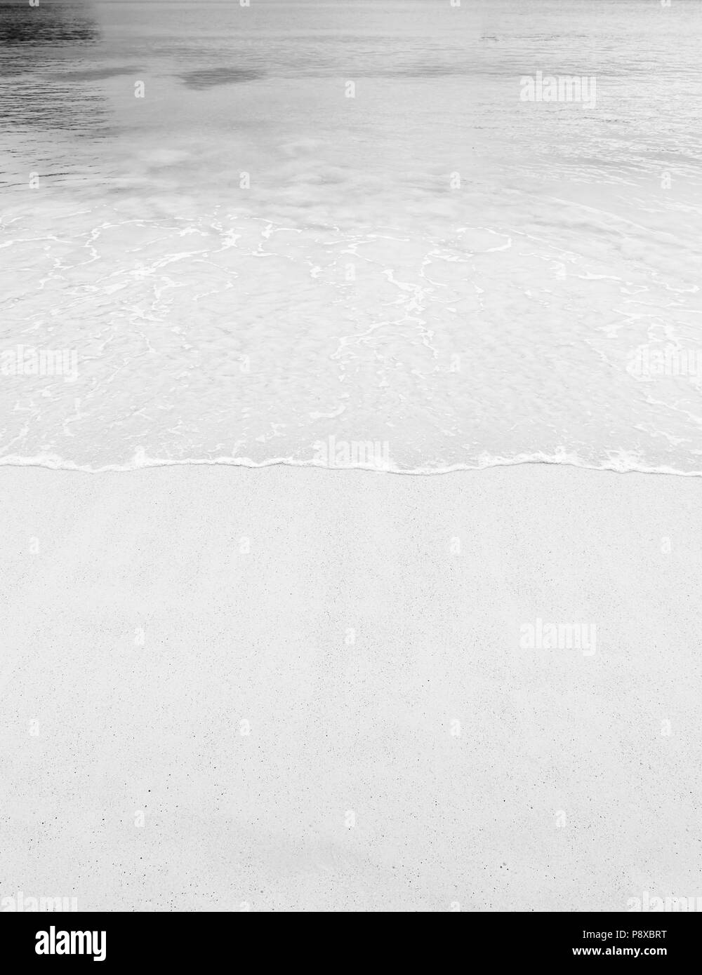 Beach background scene of tropical warm sand and clear water lapping the shore in black and white Stock Photo