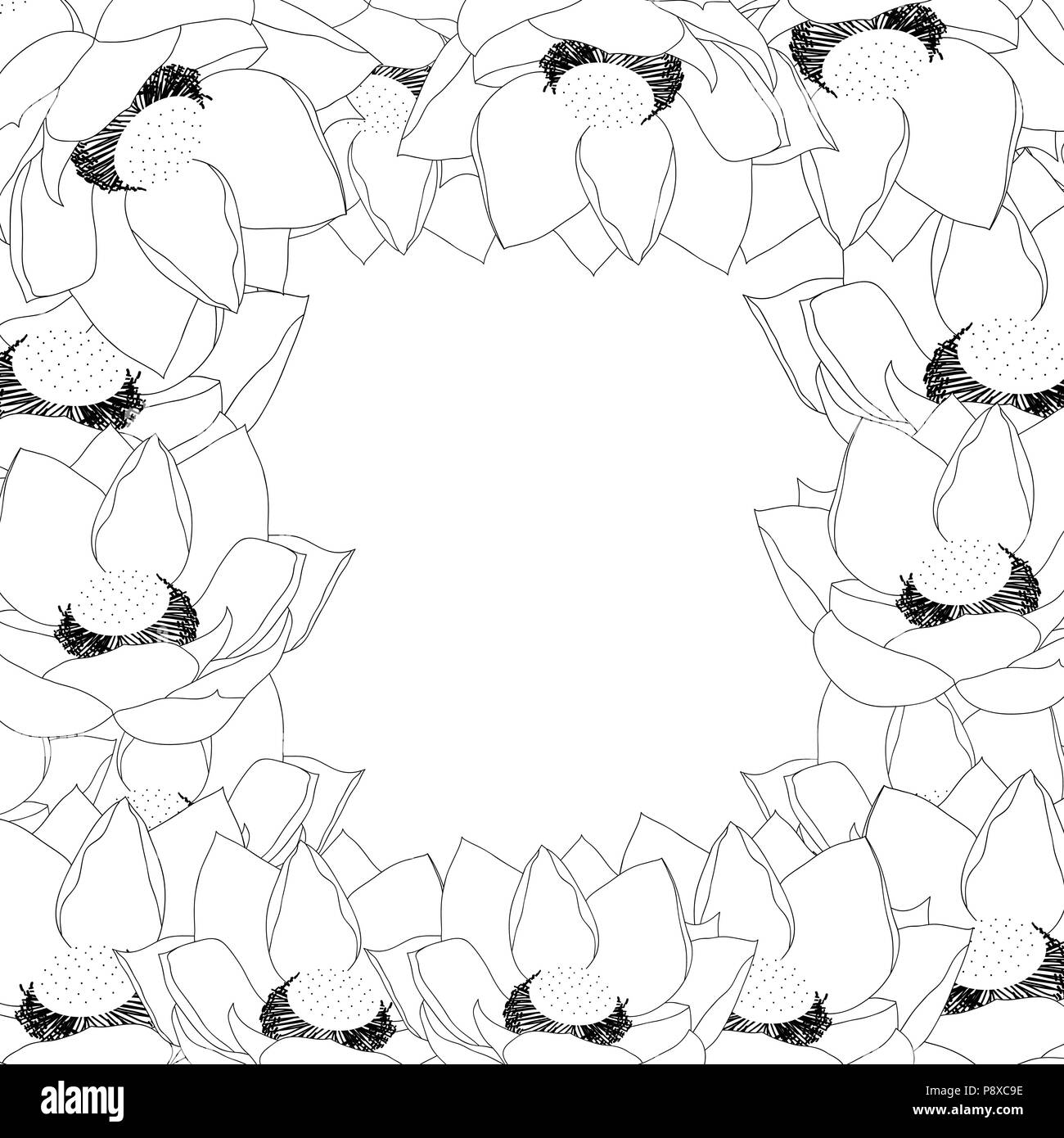 Indian lotus Outline Border. (Nelumbo nucifera,sacred lotus, bean of India, Egyptian bean. National flower of India and Vietnam) Vector Illustration. Stock Vector
