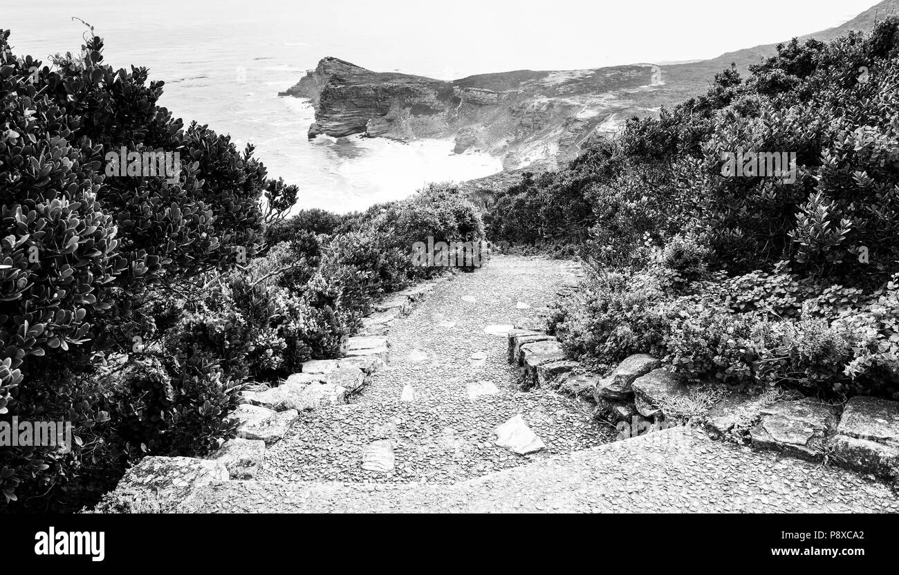 Pathway at dusk along the Cape of Good Hope, Western Cape, South Africa in black and white Stock Photo