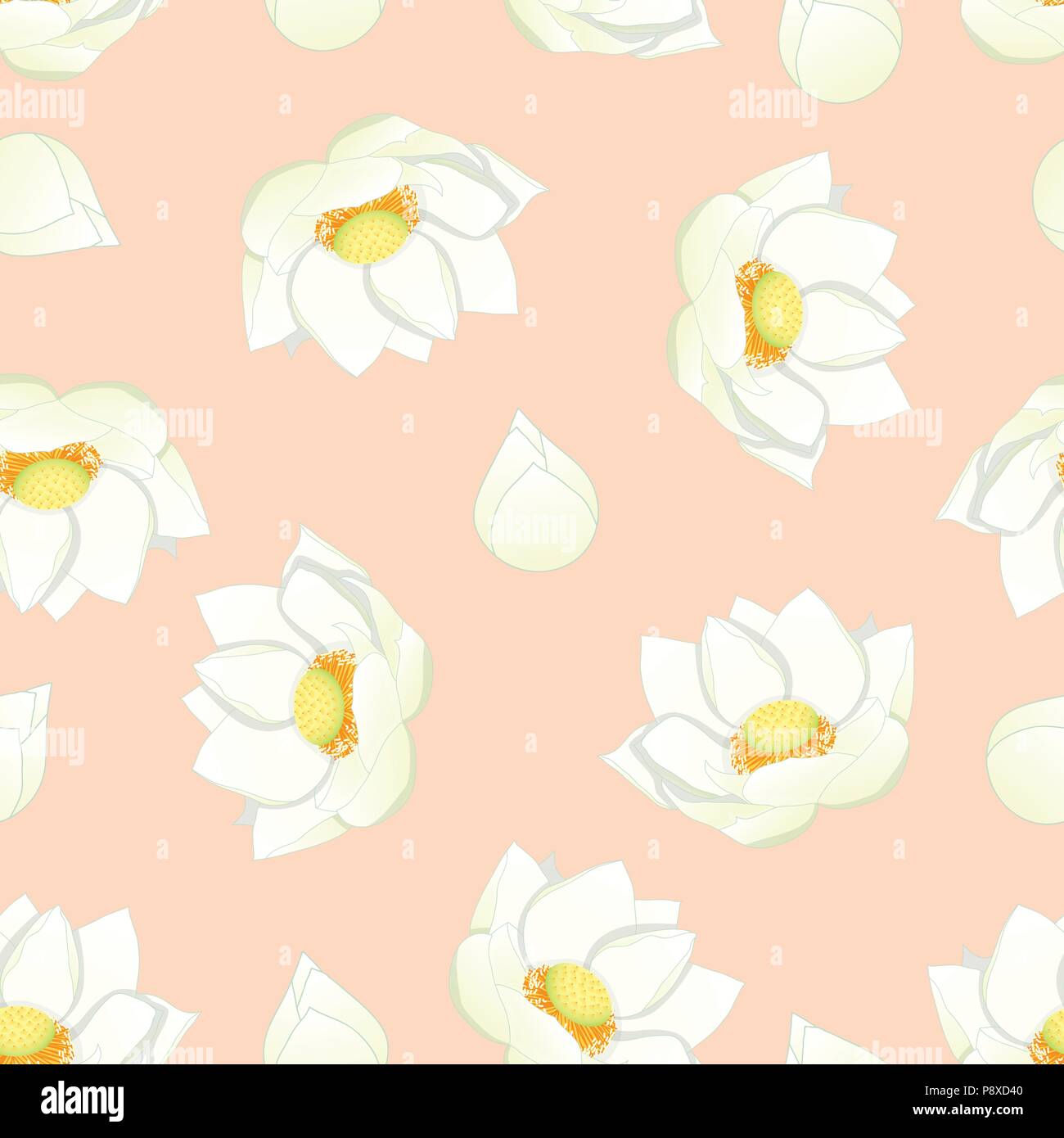 My Image 32