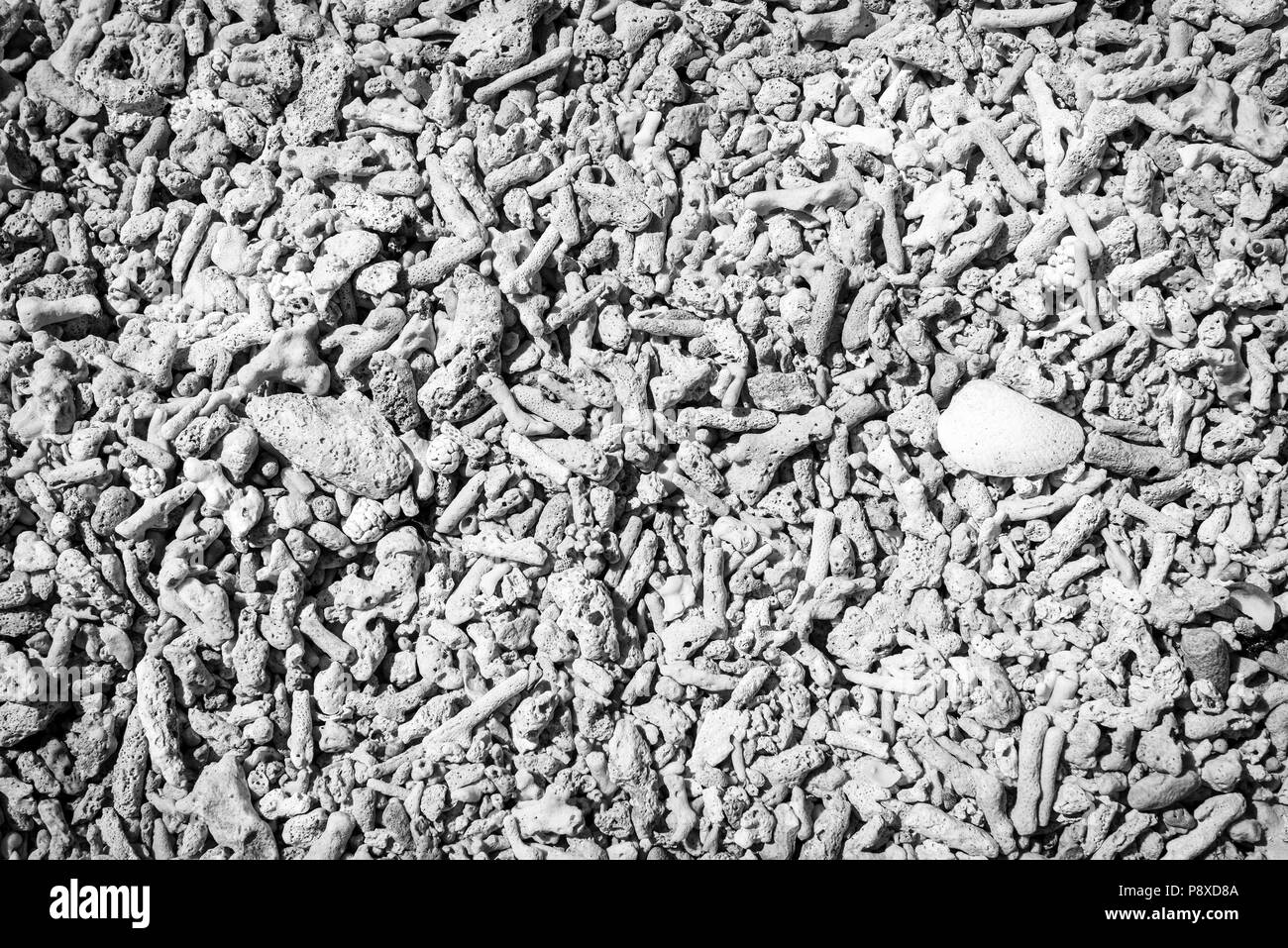 Dead coral and shells on a beach as background texture in black and white Stock Photo