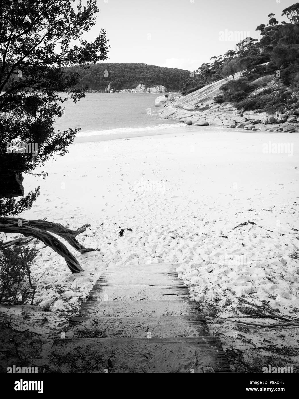 Walking track entrance to Refuge Cove beach in Wilsons Promontory National Park, Victoria, Australia in black and white Stock Photo