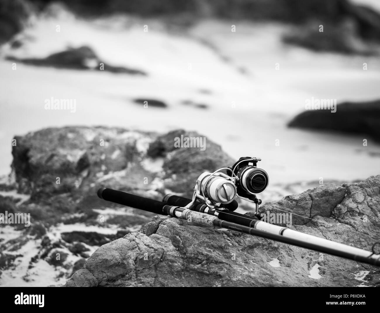 Fishing rods for surf fishing sitting on rocks at the beach in black and white Stock Photo