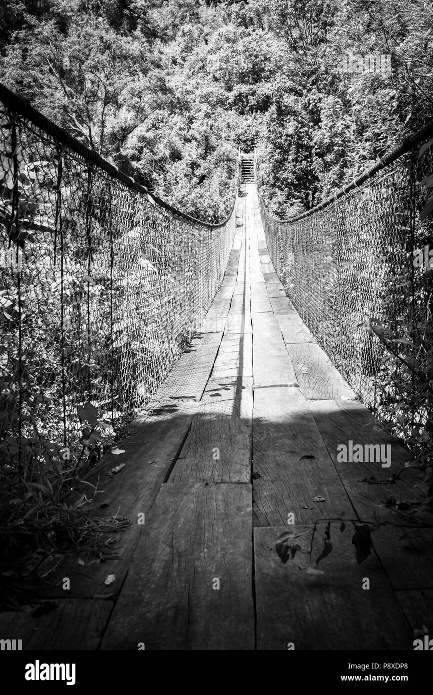 Forest footbridge over river in Guatemala, Central America in black and white Stock Photo