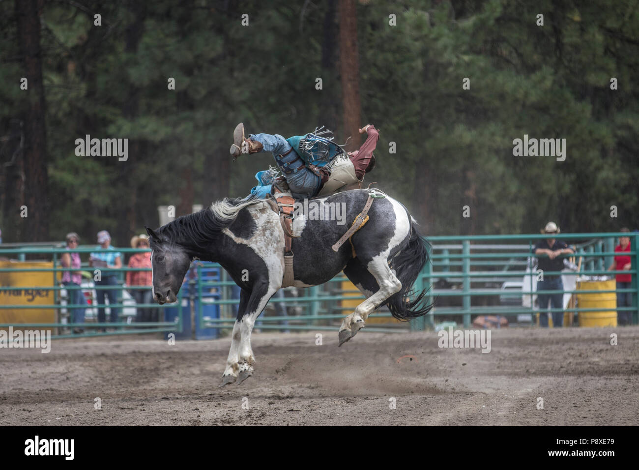 Bronc Riding PNG - Saddle Bronc Riding. - CleanPNG / KissPNG