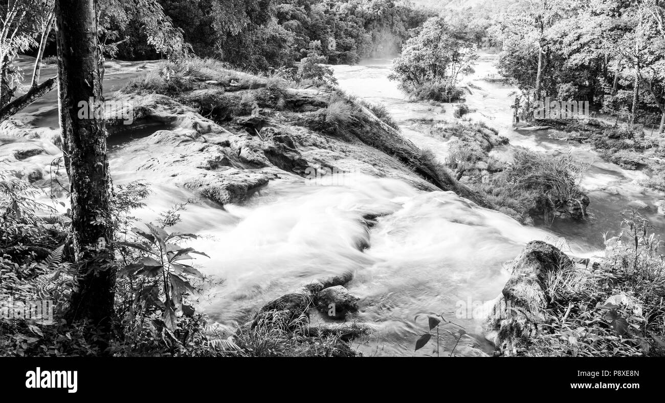 Landscape View of Agua Azul waterfall near Palenque in Chiapas, Mexico in black and white Stock Photo