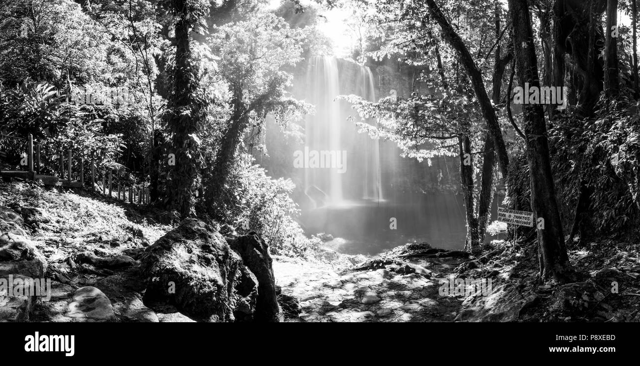 Panorama of Misol Ha waterfall near Palenque in Chiapas, Mexico in black and white Stock Photo