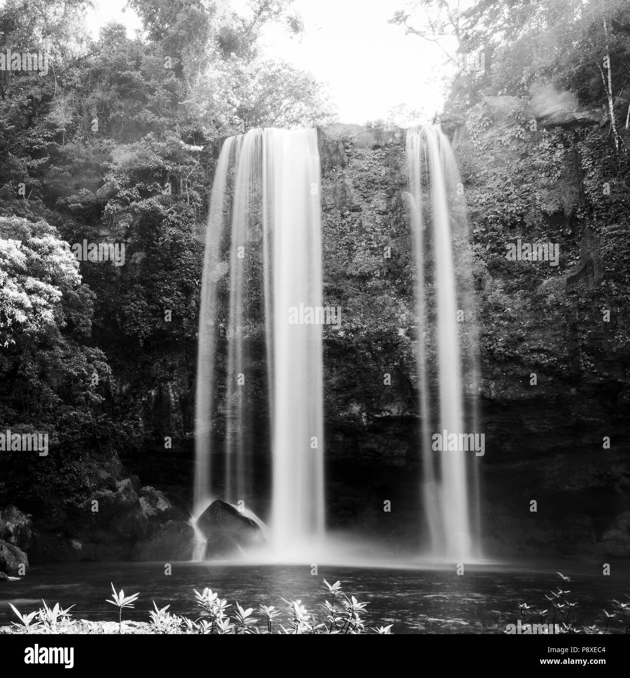 Misol Ha waterfall in early morning sunlight near Palenque in Chiapas, Mexico in black and white Stock Photo