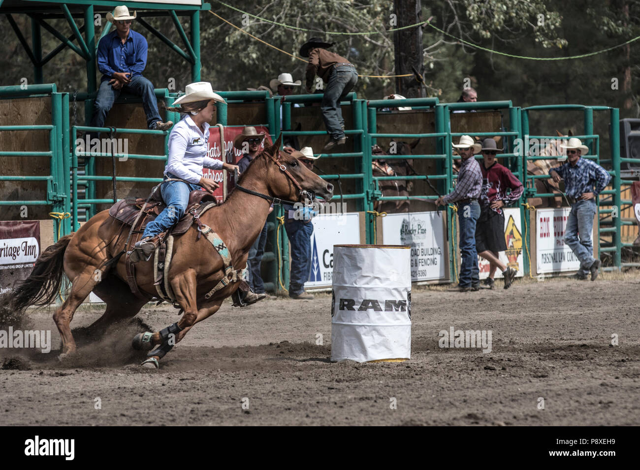 Ladies Barrel Racing excitng and fast moving horses. Tight turns, full out speed, beautiful  cowgirls competing. Cranbrook Pro Rodeo Stock Photo