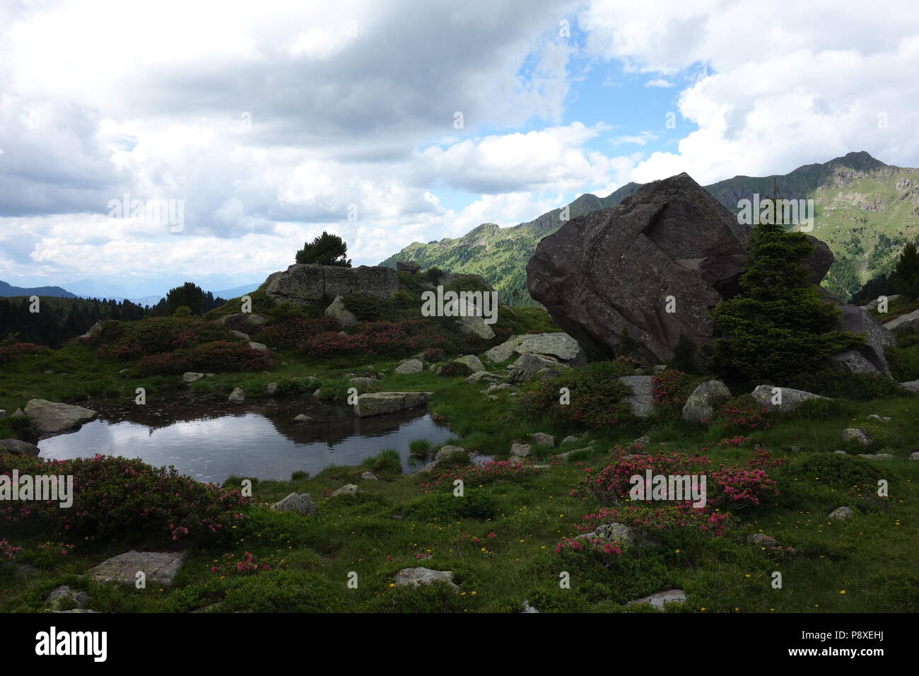 Lagorai mountain range in the eastern Alps in Trentino, Italy Stock Photo
