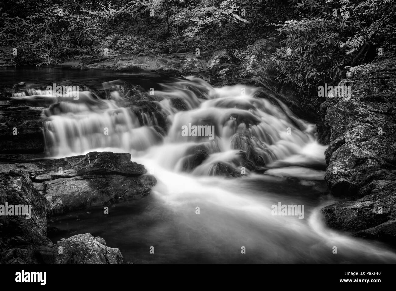 A long-exposure, black and white of swift, rushing water over Laurel Falls in the Great Smoky Mountain National Park. Stock Photo
