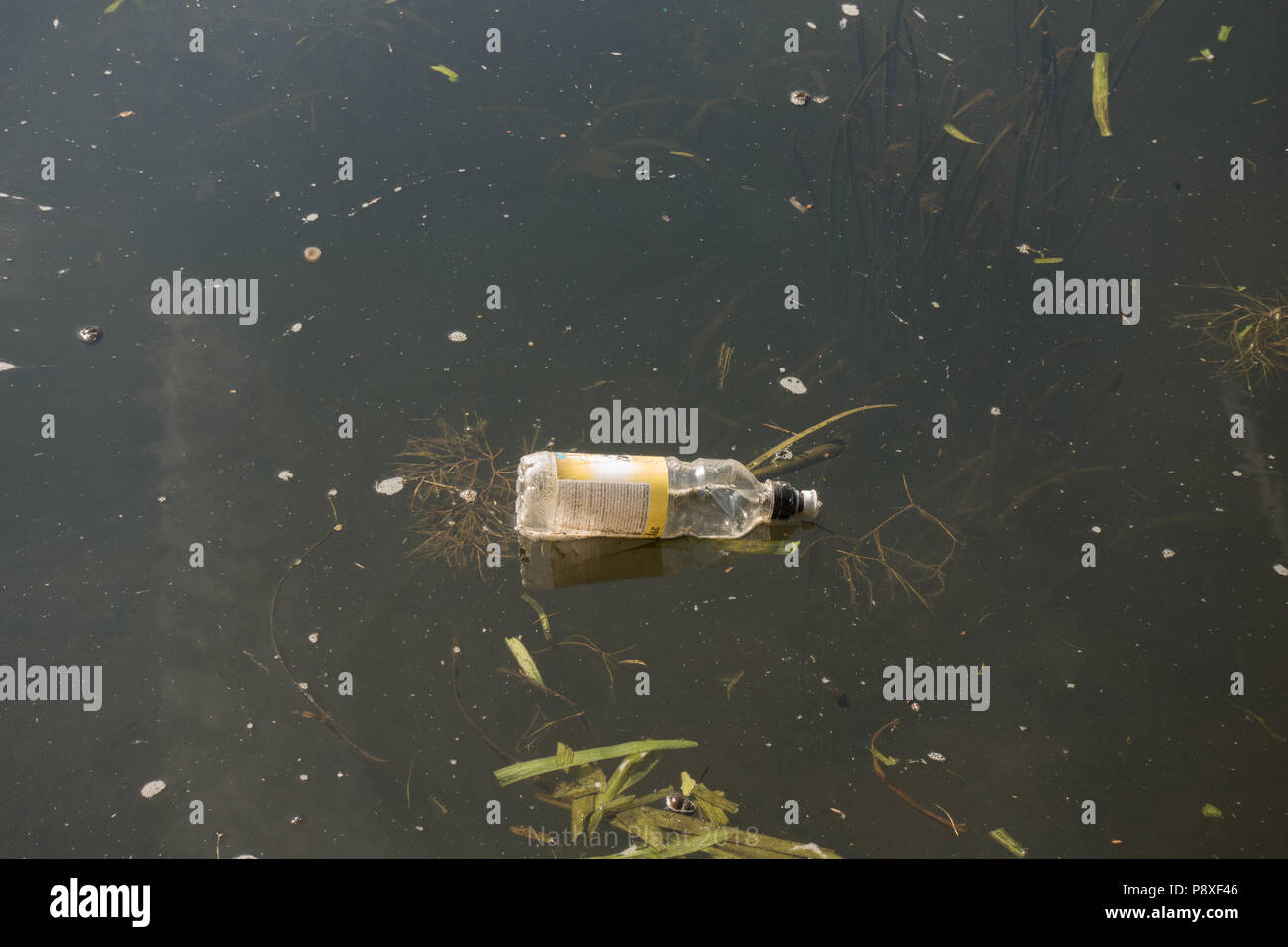 Plastic bottle floating in canal. Stourbridge Canal. West Midlands. UK Stock Photo