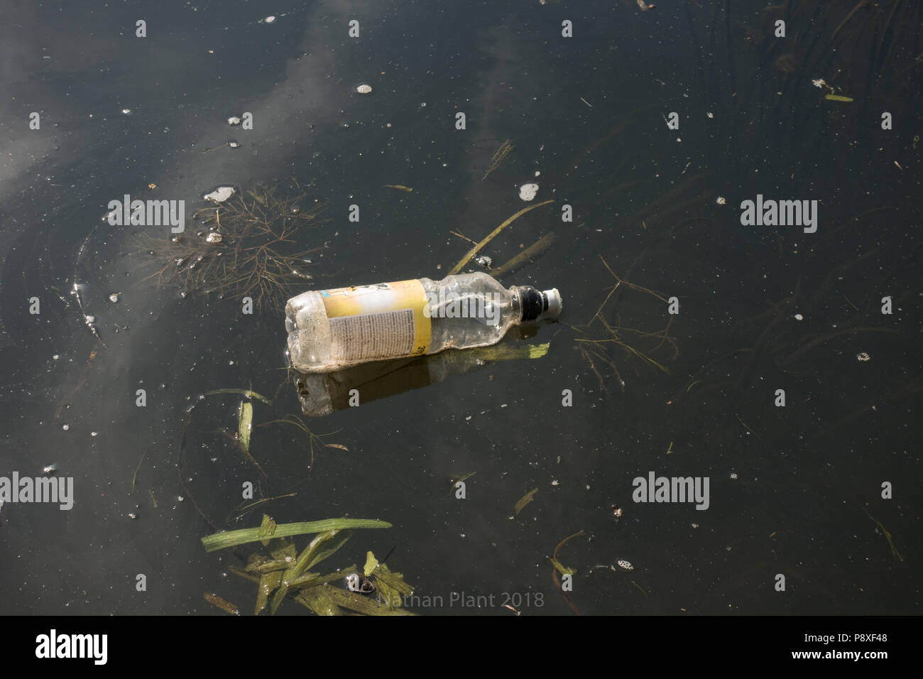 Plastic bottle floating in canal. Stourbridge Canal. West Midlands. UK Stock Photo