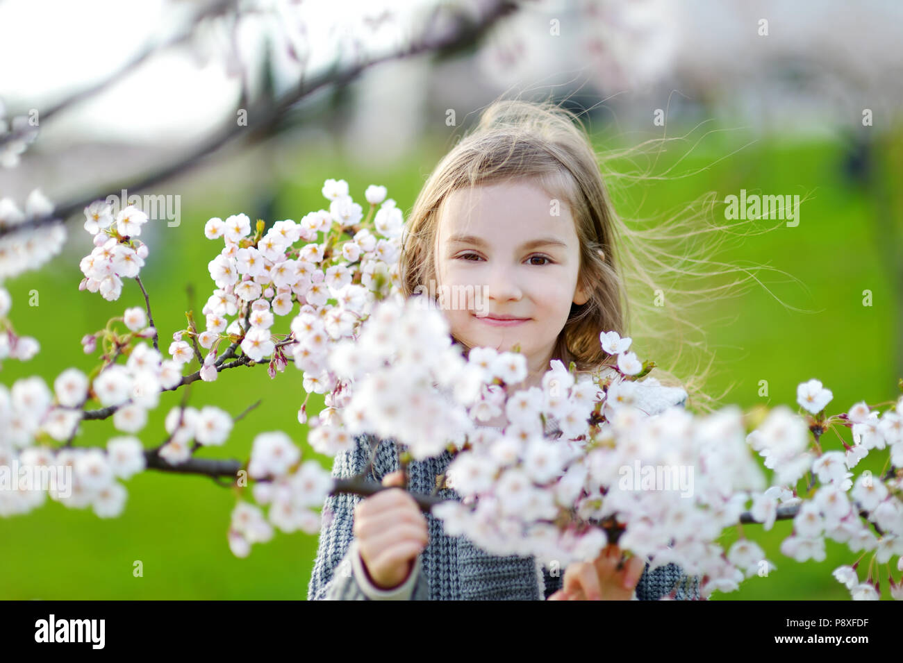 Adorable little girl in blooming cherry garden on beautiful spring day ...