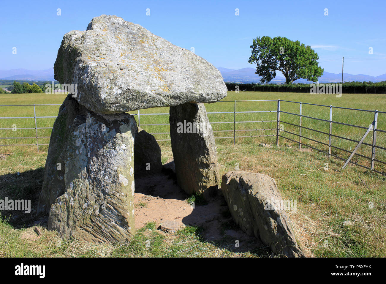 Bodowyr Burial Chamber, Llangaffo, Isle of Anglesey, Wales Stock Photo