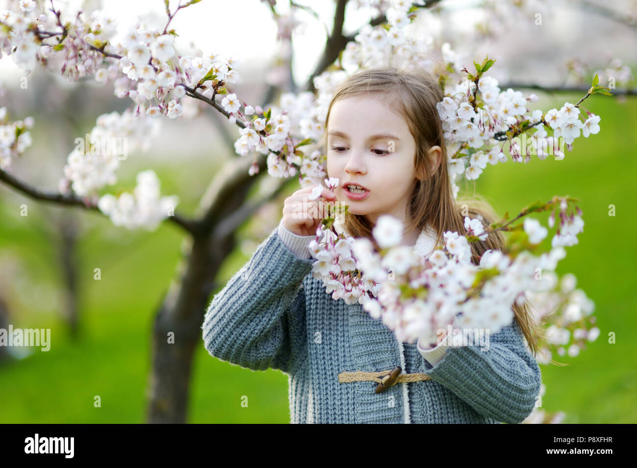 Adorable little girl in blooming cherry garden on beautiful spring day ...