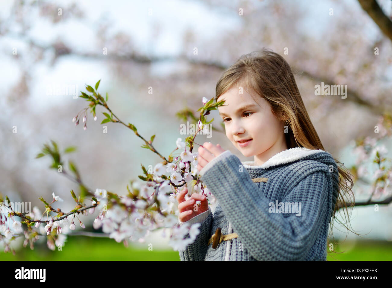 Adorable little girl in blooming cherry garden on beautiful spring day ...