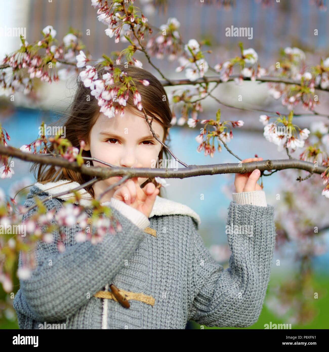 Adorable little girl in blooming cherry garden on beautiful spring day ...