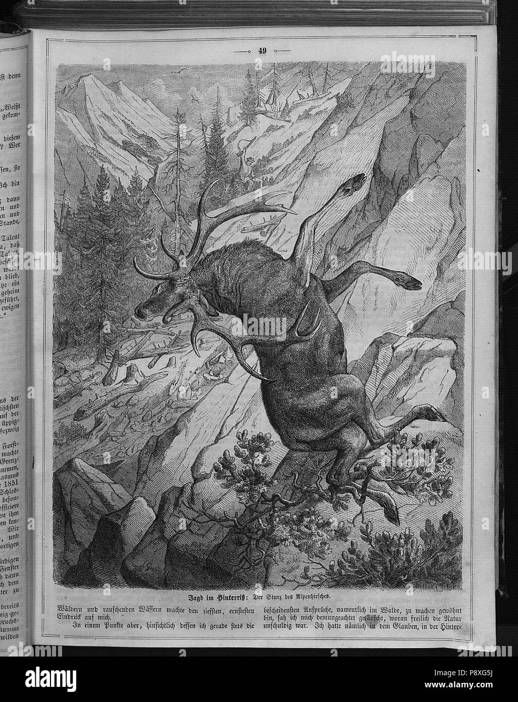 .   129 Die Gartenlaube (1859) 049 Stock Photo