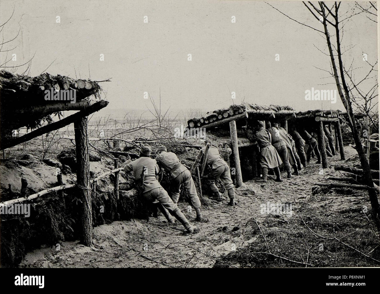 270 Eigener Stützpunkt Ostrand Gutes Kotlice, jenseits die feindliche Höhenstellung. (BildID 15540027) Stock Photo