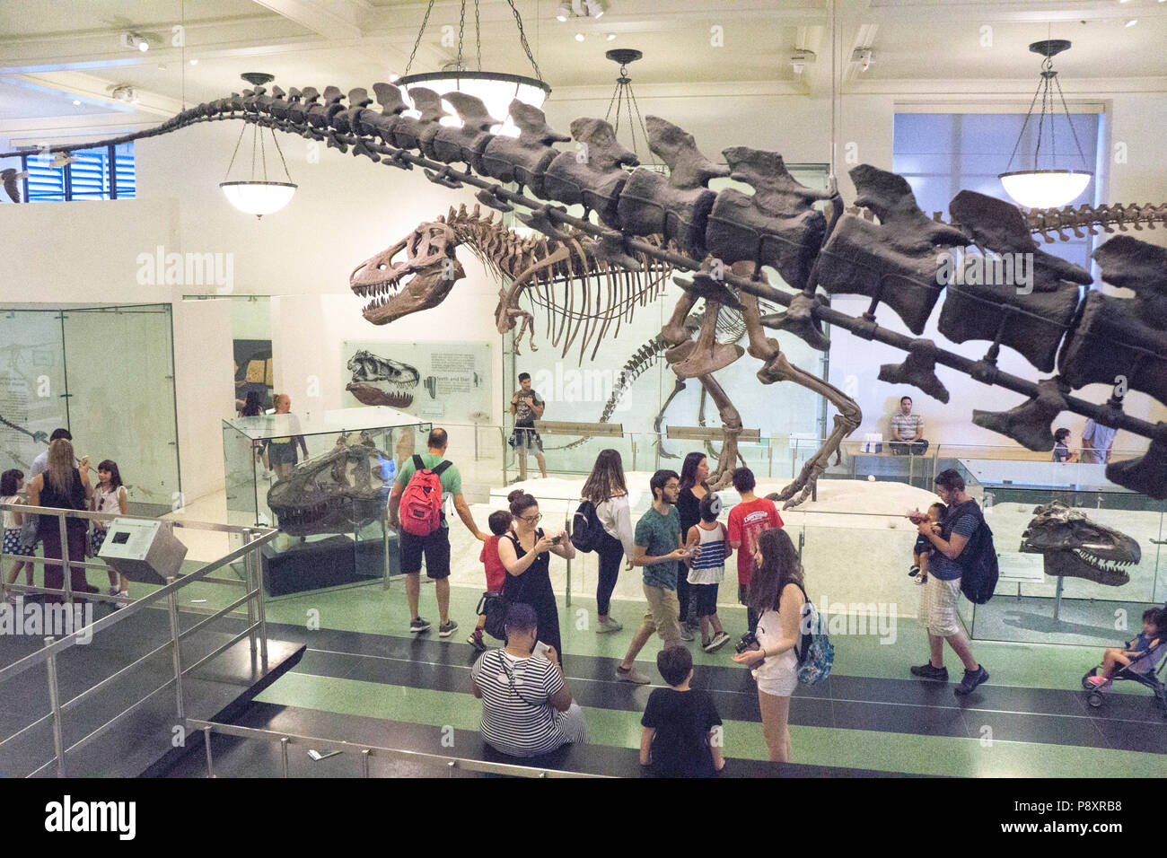 2 huge dinosaurs Apatosaurus tail in foreground overlooking diverse admirers all ages walking center aisle display & Tyrranosaurus rex skeleton beyond Stock Photo
