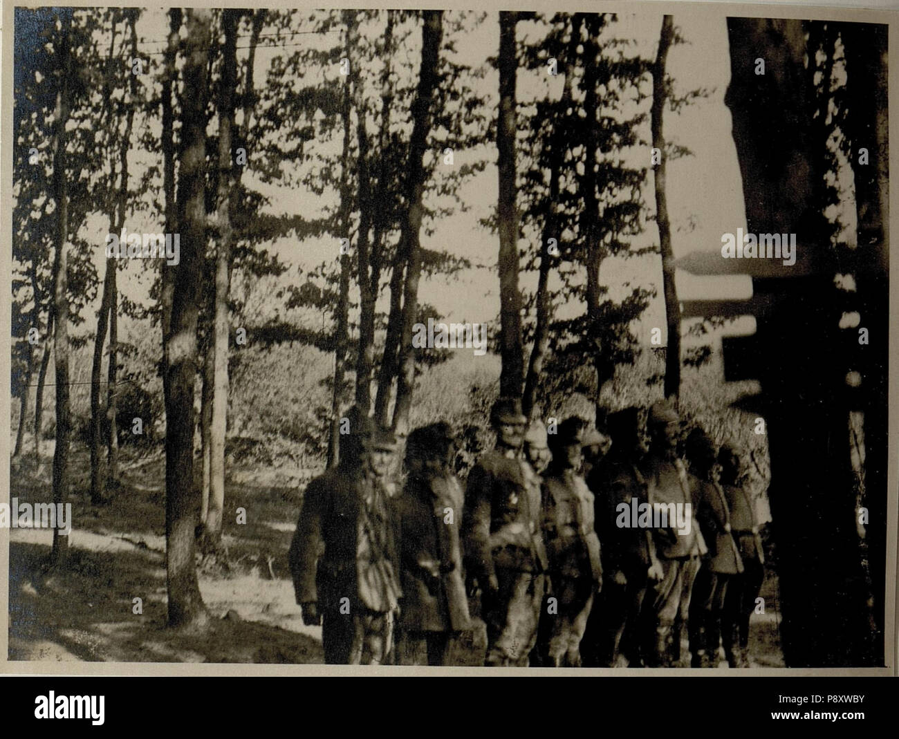 .   299 Generalfeldmarschall August von Mackensen besichtigt Truppen im Taslanwald (BildID 15545287) Stock Photo