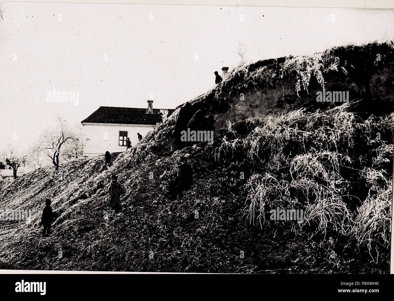 .   299 Geologische Arbeiten des Oberleutnant Kudrna (BildID 15708875) Stock Photo