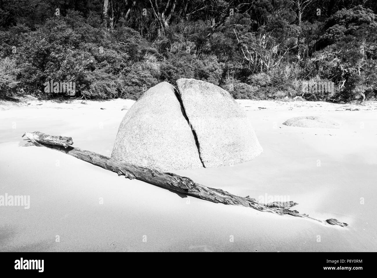 Split granite rock and driftwood in sand on forest coastline in black and white Stock Photo