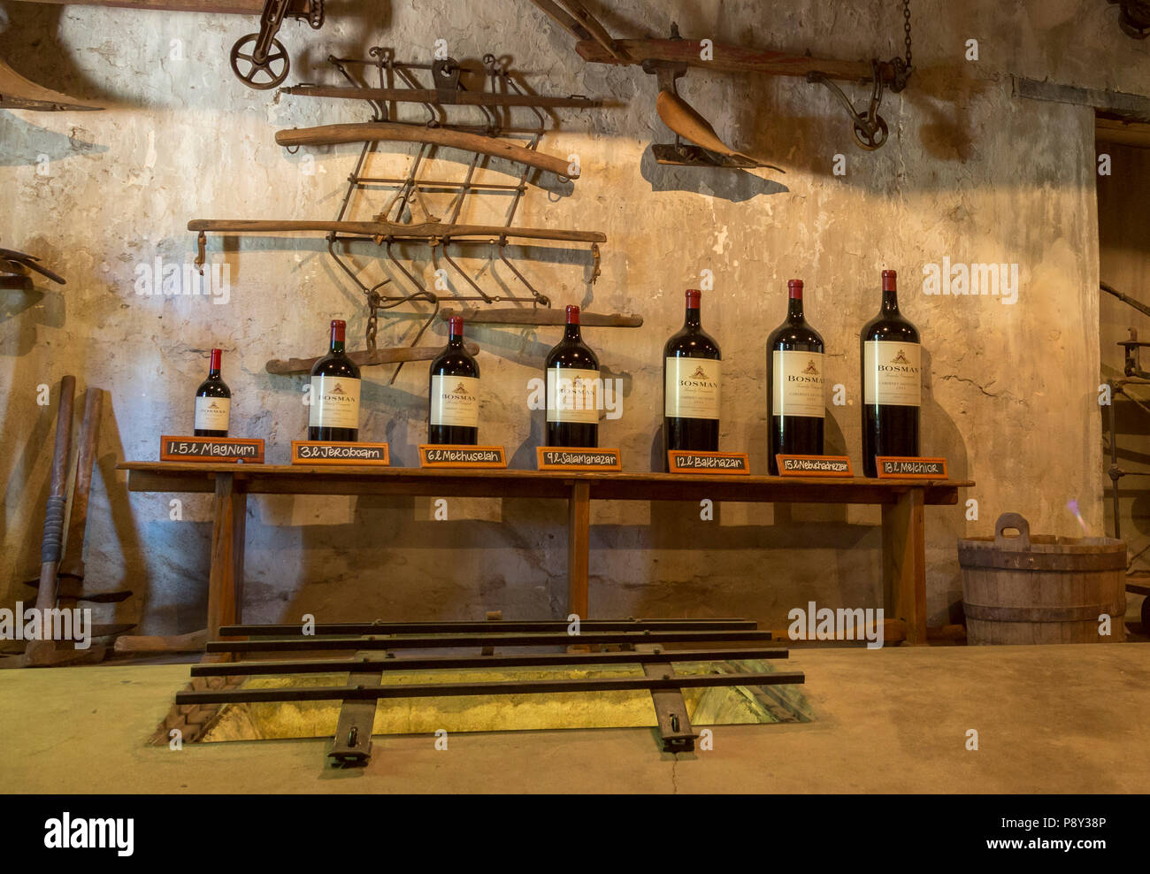 Still life display at the Bosman museum showing old wooden farming implements and a sample range of different size wine bottles Stock Photo