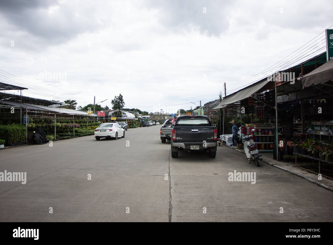 Chiangmai, Thailand - July 13 2018: Kam Tieng Tree Market. Big Tree ...