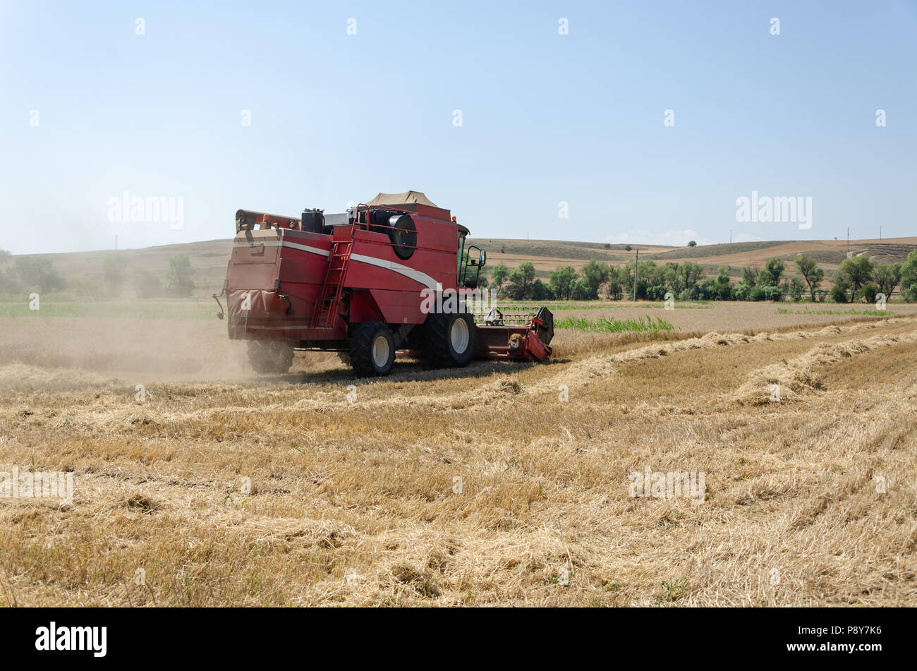 The harvester is harvesting the wheat field in summer Stock Photo - Alamy